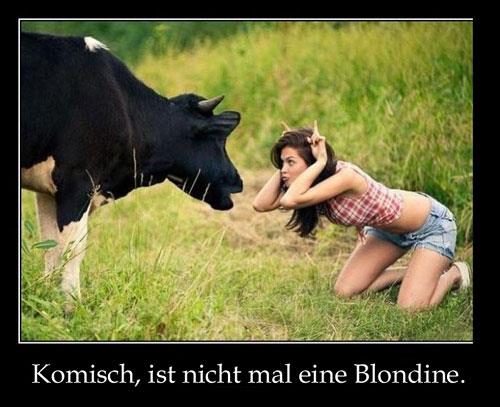 ist-nicht-mal-eine-blondine