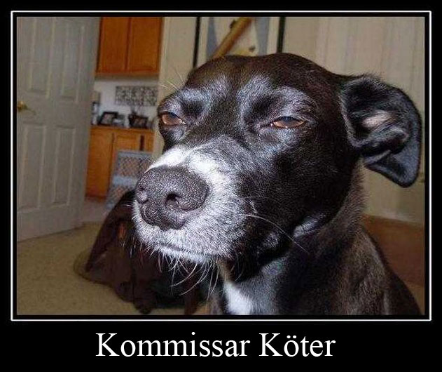 kommissar-koeter