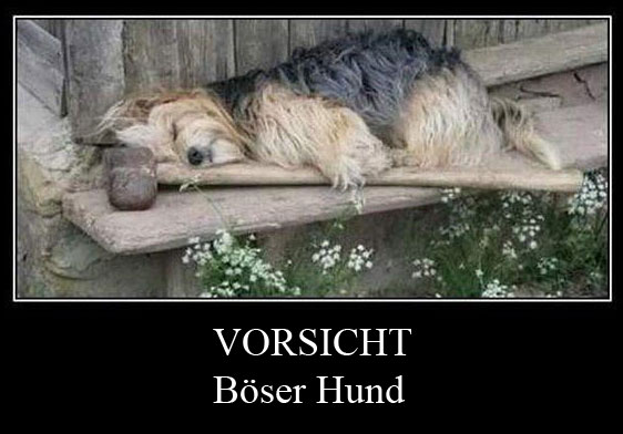 vorsicht-boeser-hund